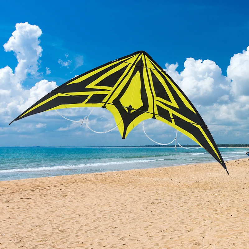 manufacturer in china OEM delta sport kite wholesale big kites new model colorful delta beautiful cool kite
