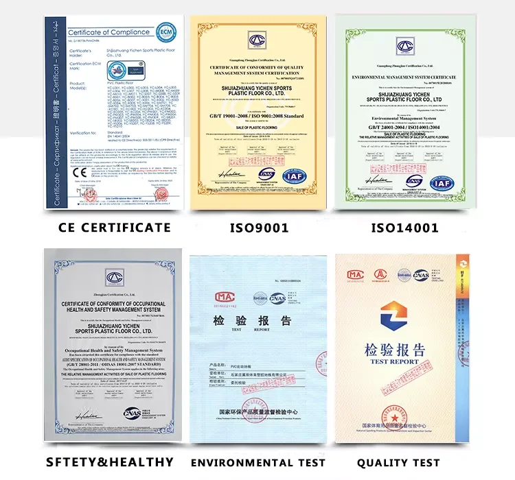 paste-pic-dp_uuid_o0sqv