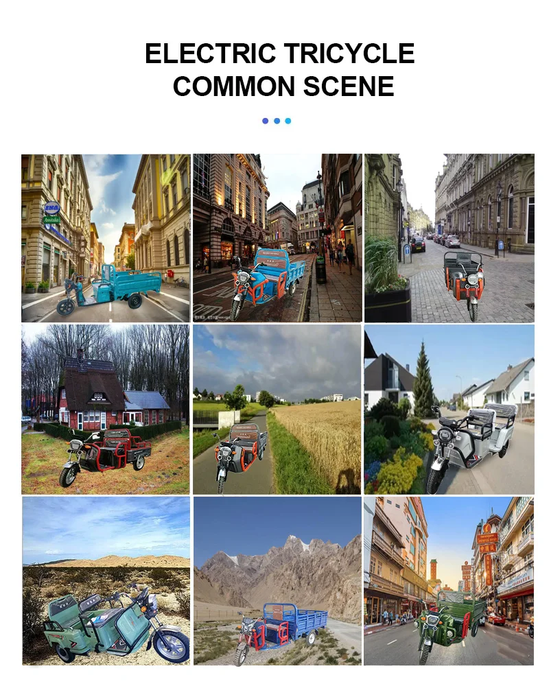 Home Ransport Three Wheels Adult 48V 500W Cargo Box Electric Tricycle For Teenagers