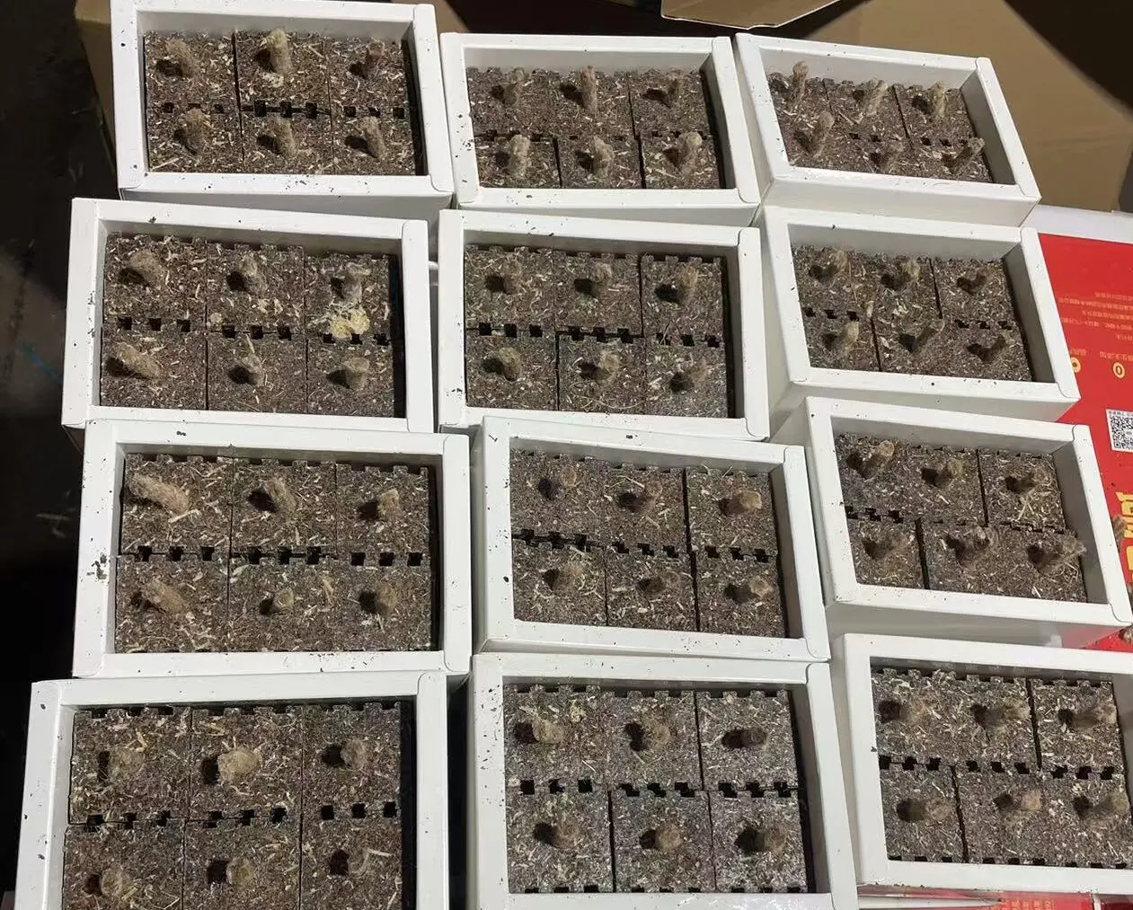 hot sell Wood Sawdust Fire Starter long Burning Time Igniting Fire Starter For bbq grills outdoor pizza oven