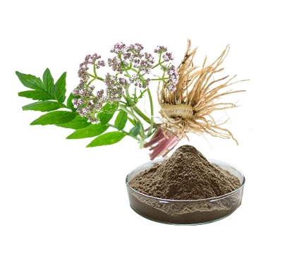 Valerian Extract powder 0.8% Valerianic acid