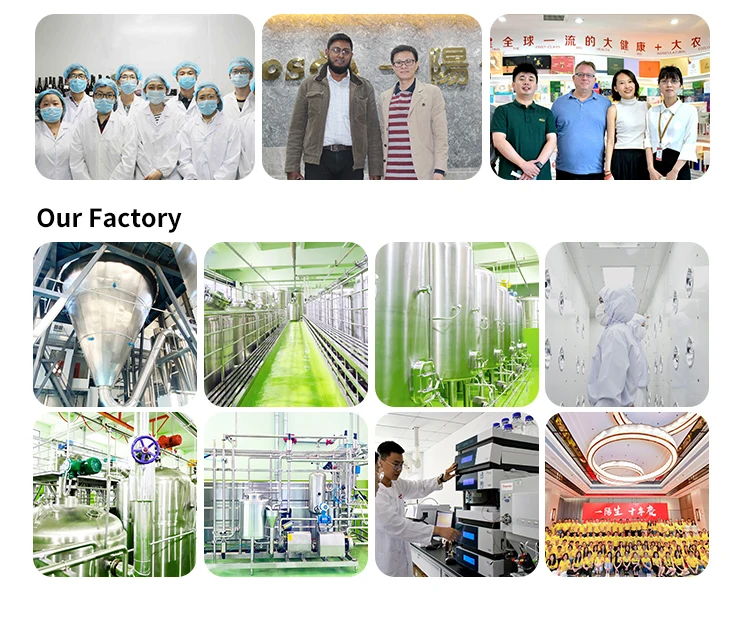 Healthcare Supplement Protein Peptides Bodybuilding Powder Hydrolyzed Soy oligopeptides Soya Peptide Powder