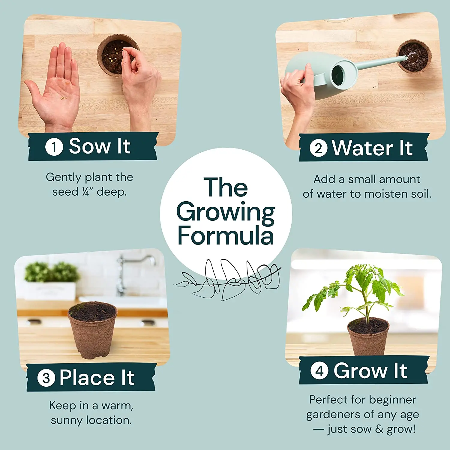 Grow 4 Types of Tomatoes from Decorate Gardening Starter Set For Growing Unusual Tomatoes Tomato Garden Kit