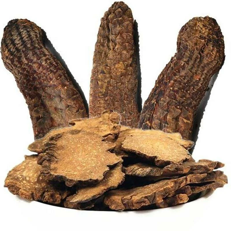 Ciyuan Factory Supply Cistanche Tubulosa  Extract  Cistanche Deserticola Powder Tablets Capsules Bulk