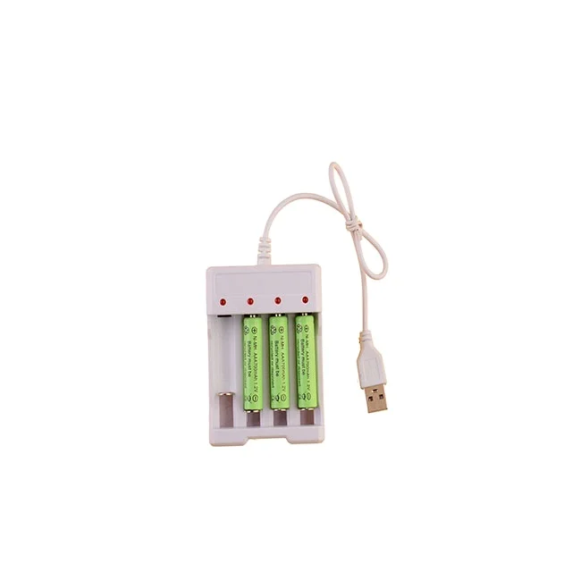 Renlong Cable Charger Micro USB for Ni-MH Ni-CD AA AAA Wholesale 1.2V Battery Charger AA