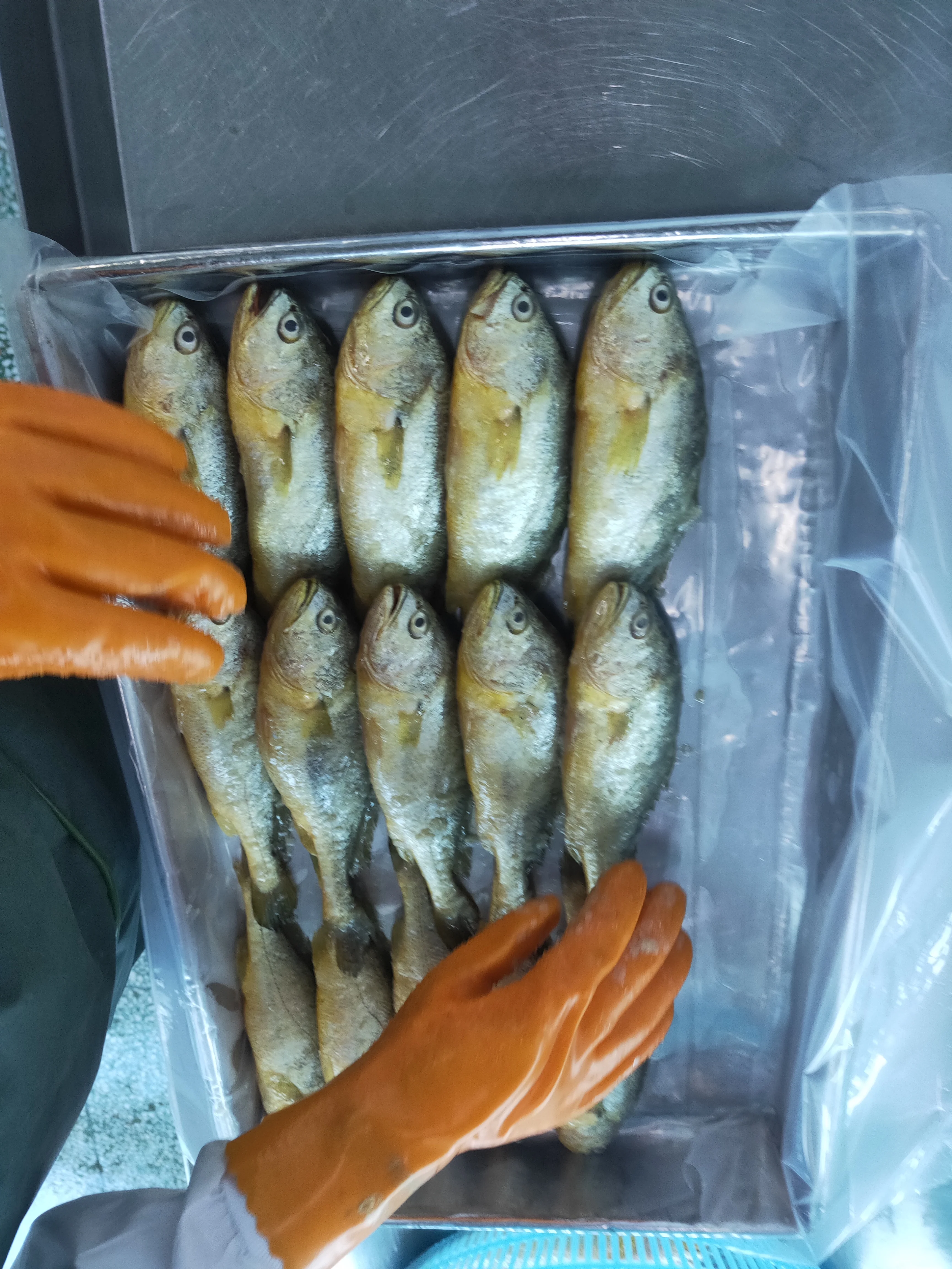  Качественный выбор морепродуктов в Китае самая низкая цена на свежий замороженный желтый