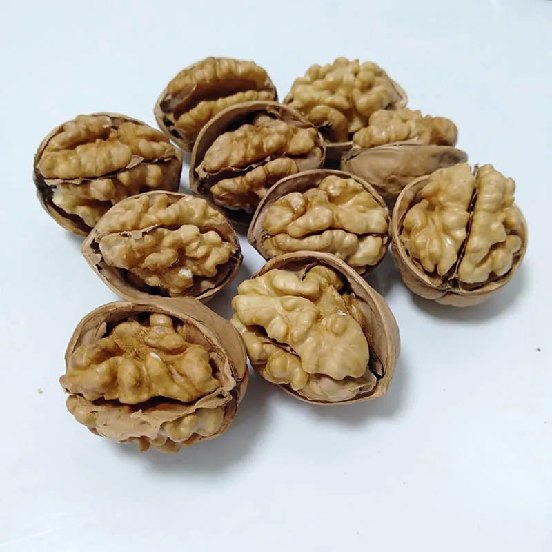 xinjiang walnuts bulk dry fruit walnuts 33/185 /xingfu thin shell walnuts in shell