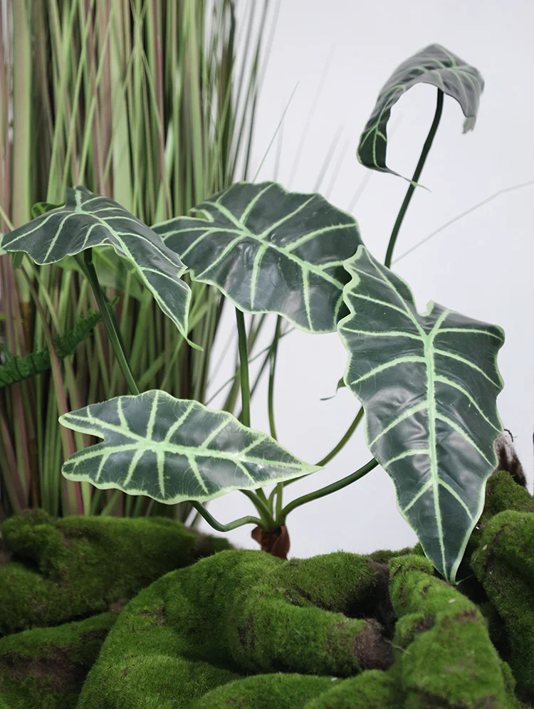 garden sets Sansevieria&California Palmetto set  home decor  indoor Decoration art sets   Artificial Plant