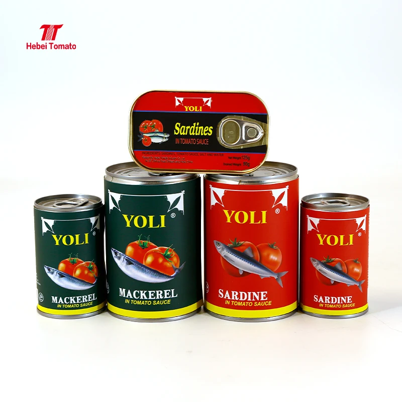 Halal canned sardines fish in tomato sauce / canned mackerel fish in tomato paste