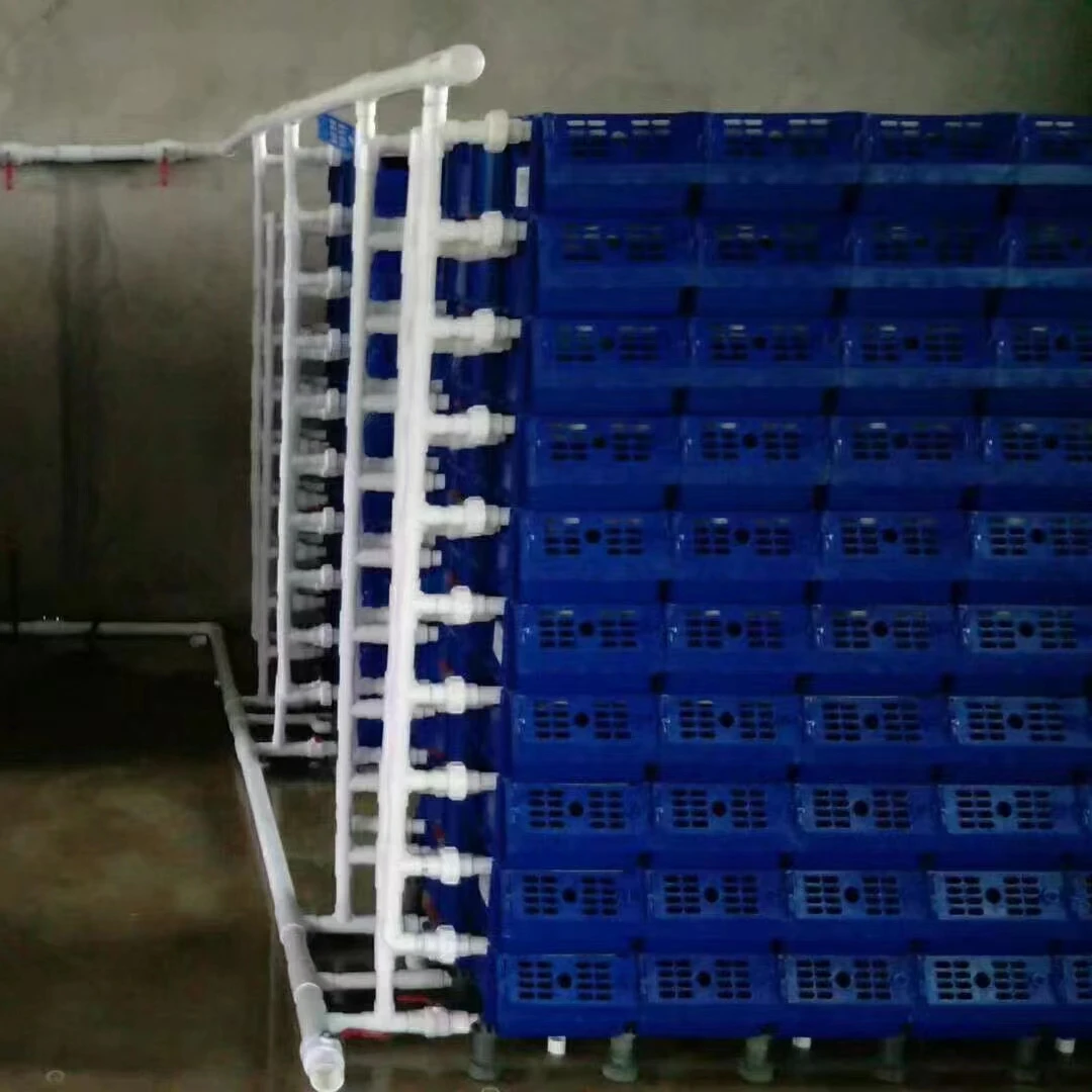 Factory supply seafood plastic crate crab lobster aquaculture folding stackable turnover box with lid plastic farming system box