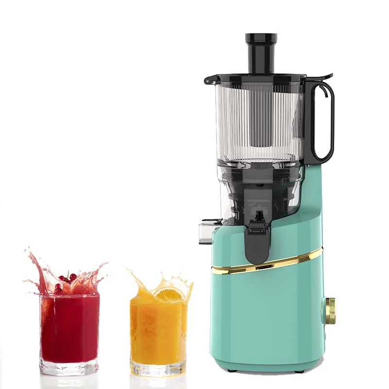 024SJ New Fashion Cheap Price Multifunctional Ginger Juice Extractor Machine Wholesale In China