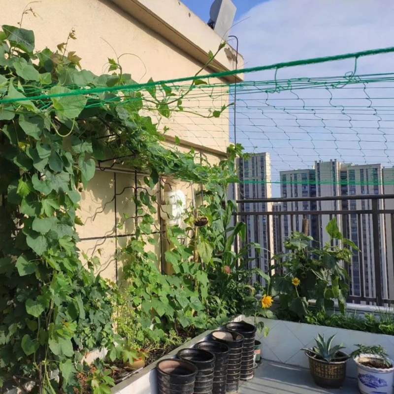 Melon and bean climbing net 60 strands thick plant climbing net Planting net loofah bitter gourd canape pumpkin passion fruit