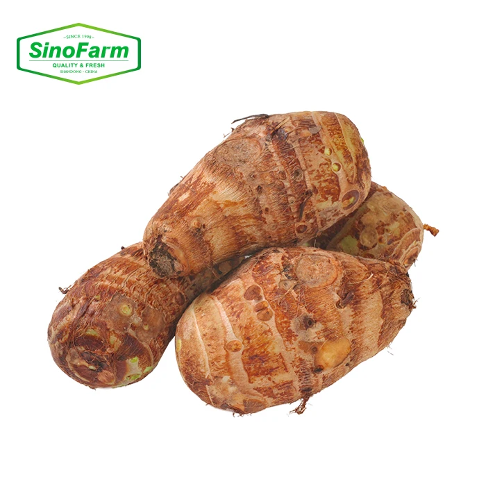 China Fresh Taro Vegetable Food Importer Chinese Supplier Wholesale Export Taro New Crop