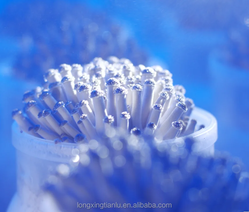 Большая оптовая продажа свежих грибов-крабов, морепродуктов, грибов