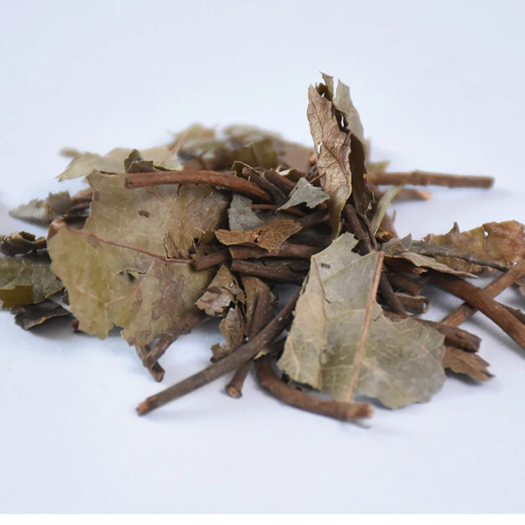 
100% Natural Herba Ardisiae Japonicae 