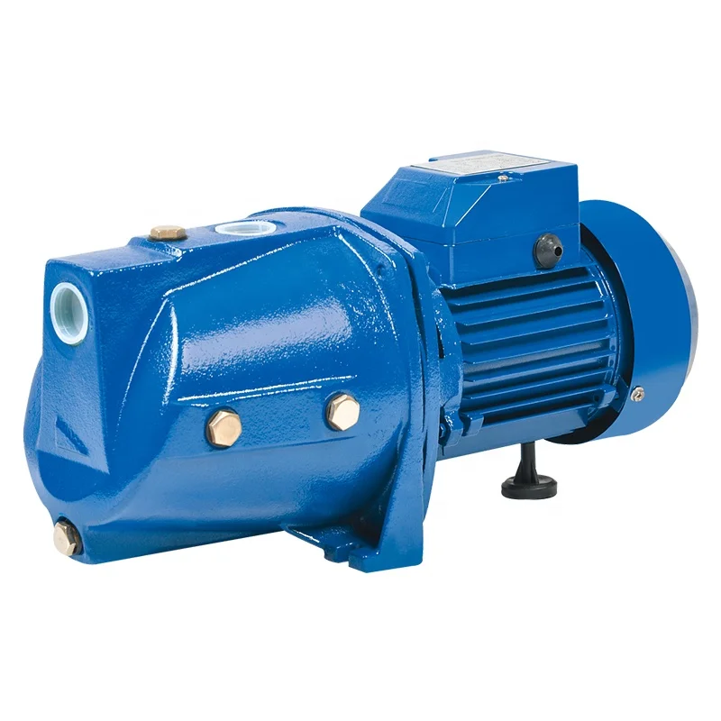 RUIQI Small Pump Machine JSW12M Series Self-Priming Bombas Mini Electric Motor Water Pump Pompe 1HP