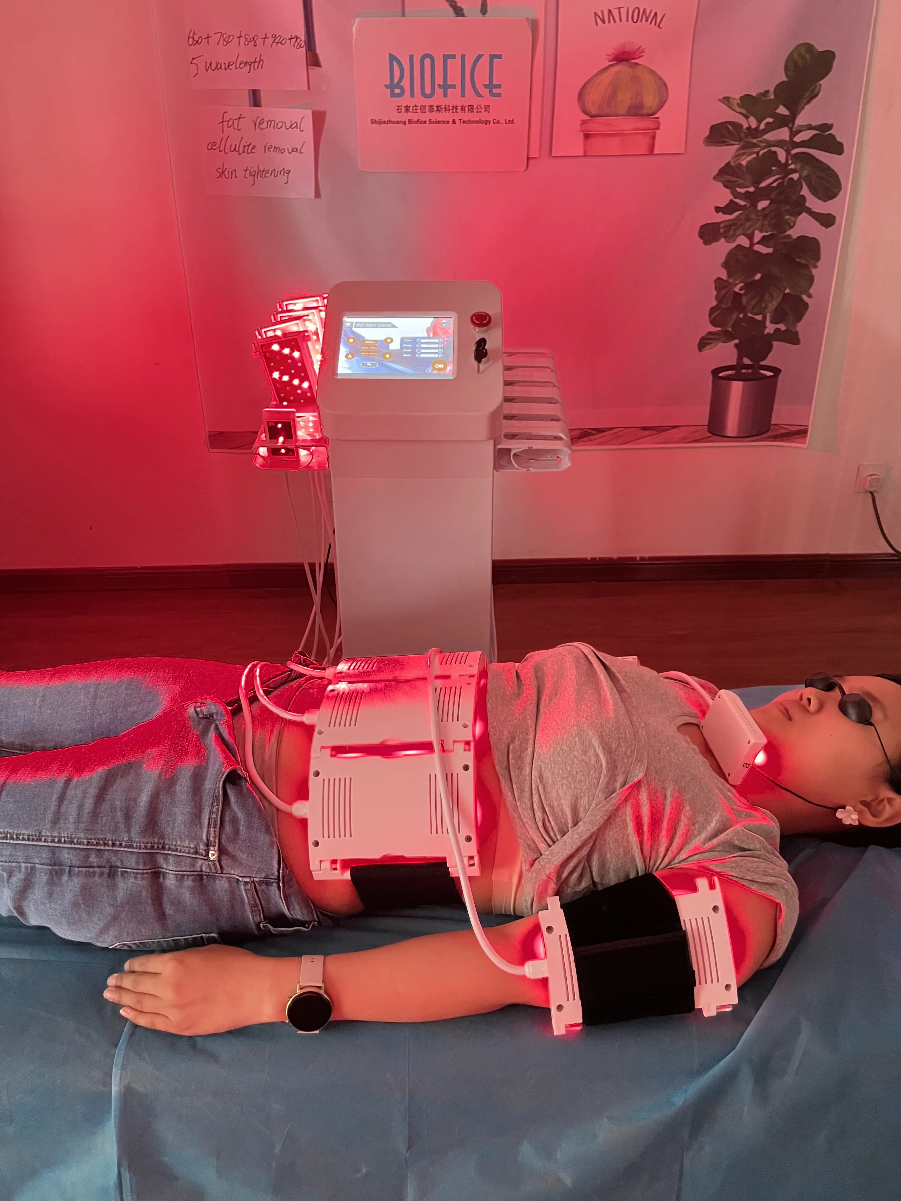 Japanese Mitsubishi 448 Diodes Lipo 4D 5D Strong Power 5d Lipo Fast Slimming Liposuction Fat Lipolysis machine