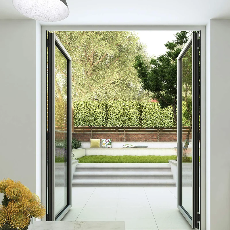 Industrial Modern Design Swing Metal Frames Steel French Door And WindowsEntrance Door Modern PivotInterior Flush Door