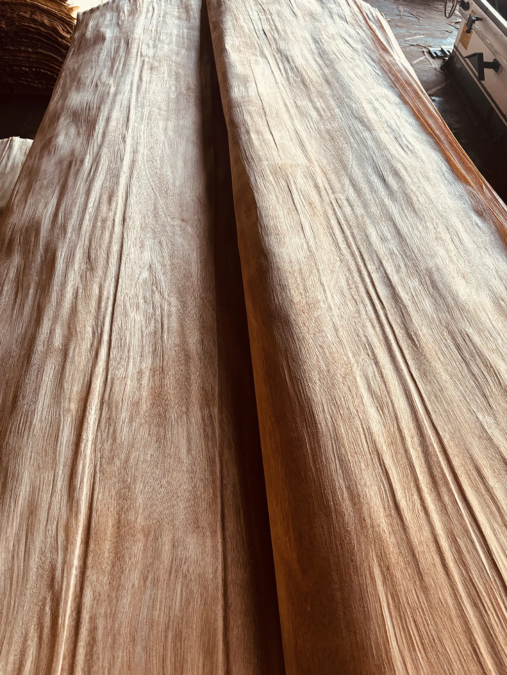 Fast Delivery  0.30Mm White Face Veneer Engineered Wood Veneer Dark Gurjan Face Veneer