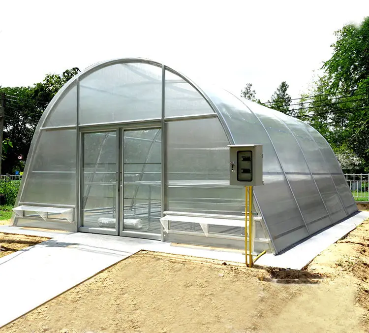 Agricultural commercial Fruits drying single tunnel small solar heater greenhouse solar dryer uv greenhouse