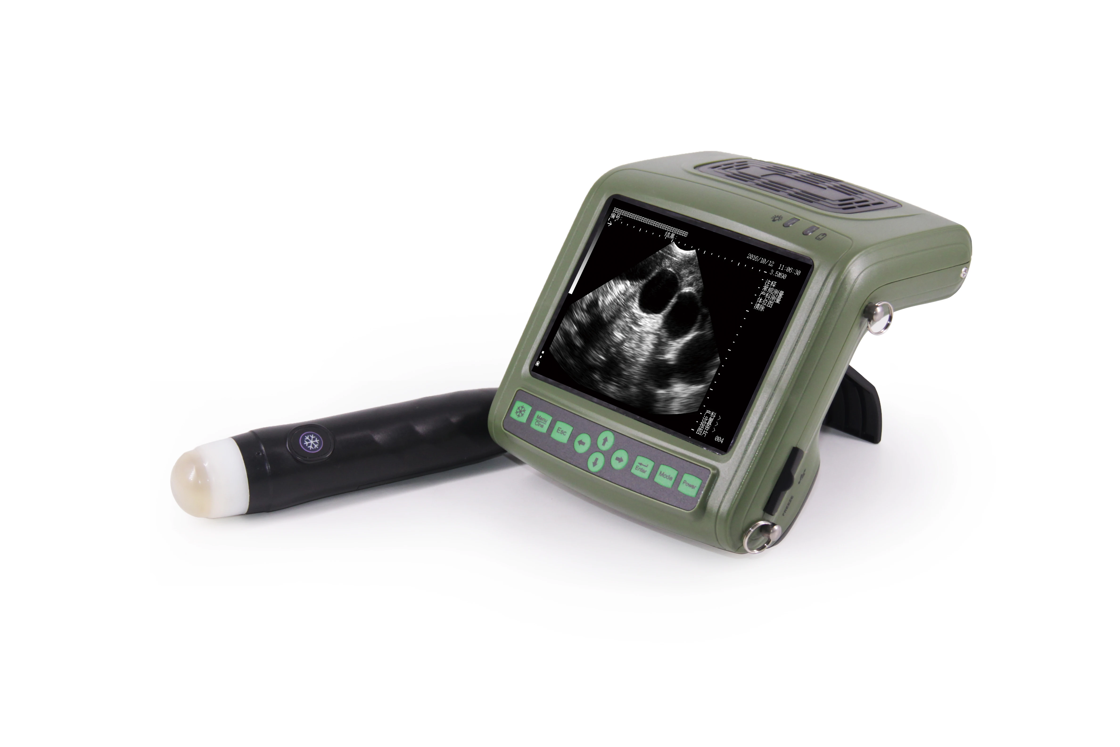 Vet ultrasound scanner for pig