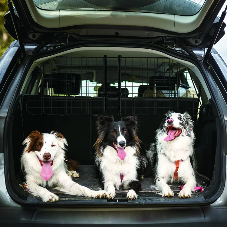 Dog Guard Screen Car Boot Headrest Travel Mesh Grill Safety Barrier Universal