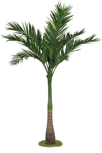 High quality outdoor decoration  artificial  phoenix kwai  palm tree with coconut  tall artificial plant potted