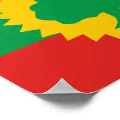 Free Sample Custom Promotion National Digital Flag Printing Flags Polyester Oromo Flag With Logo Custom Print