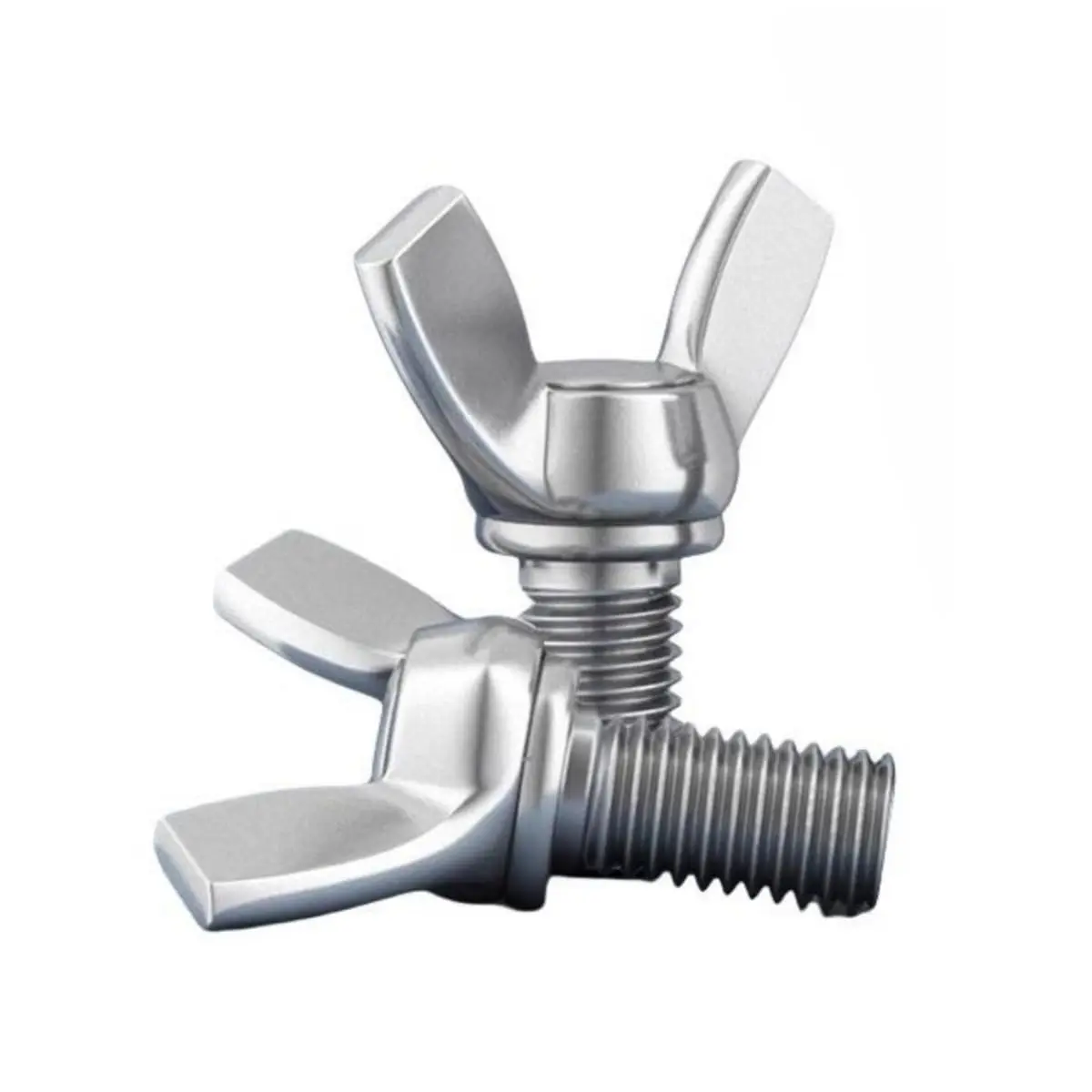 Factory Price Best Quality M3-M36 304 316 Stainless Steel Butterfly Wing Nuts Stainless M6 Bolt Screw
