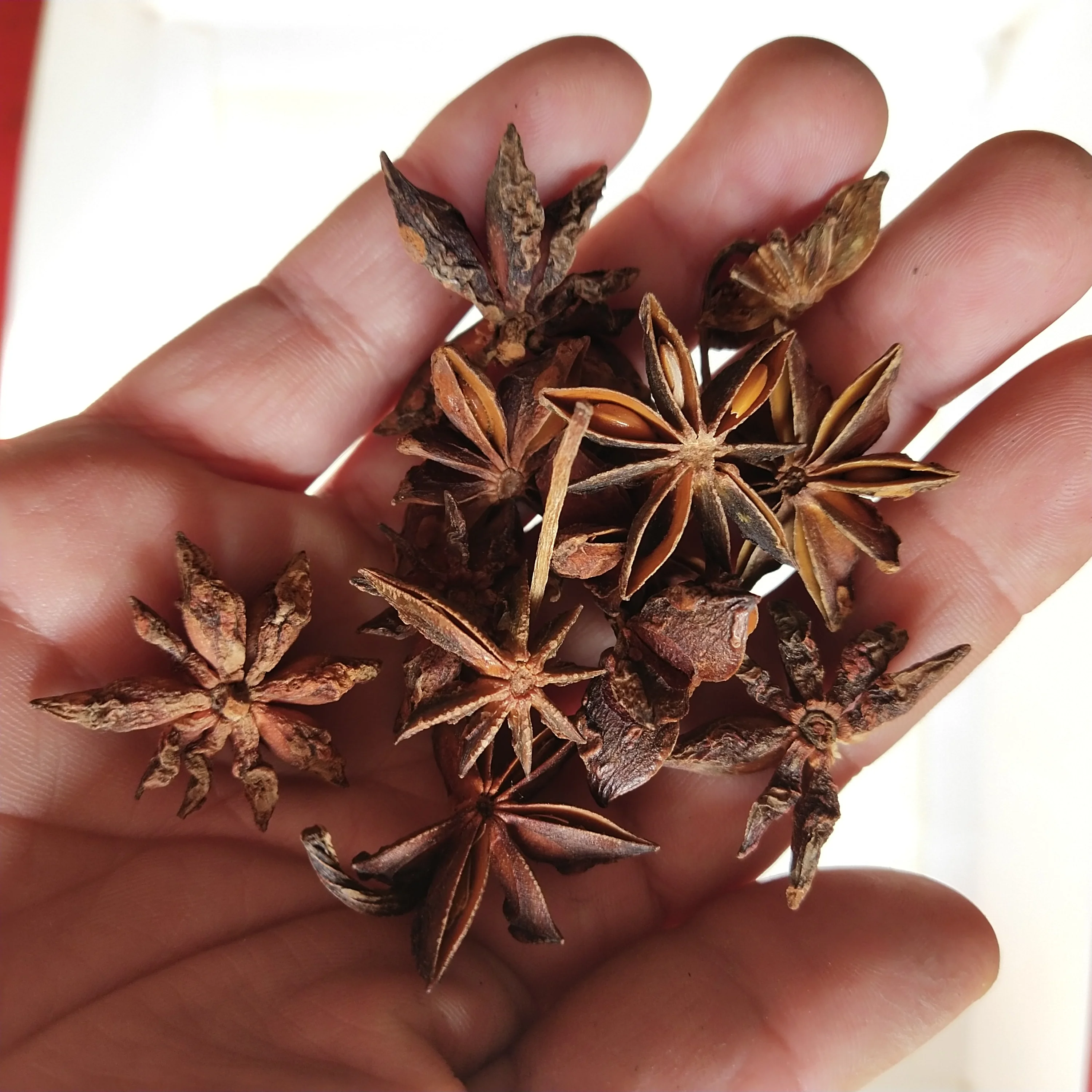 1kg Ba jiao badian Chinese Natural dried Star Anise Illicium verum dried fruits for spice
