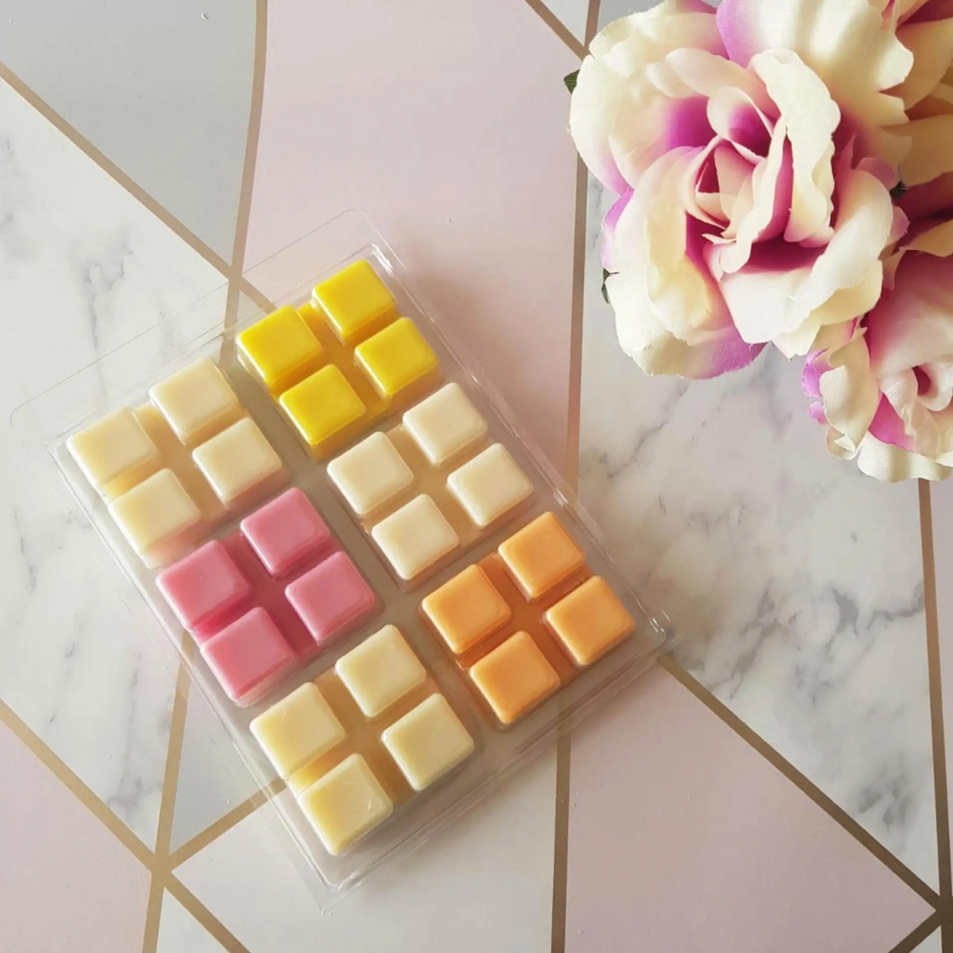 Wholesale Plastic 24 Cavity Size Blister Clamshell Packaging For Scented Transparent Wax Melts Tarts