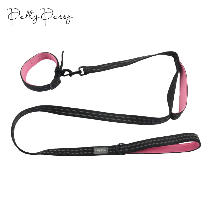 2024 Wholesale Outdoor Training Pet Leash Adjustable Dog Collar Set  With Metal Buckle Manufacturer