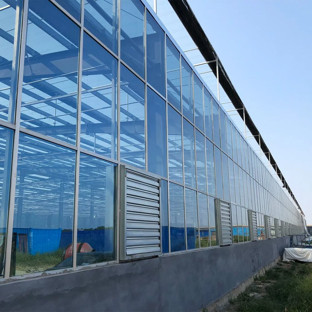  Многопролетная стеклянная теплица Harvest Vale Venlo сельскохозяйственная для выращивания овощей цветов лекарственных
