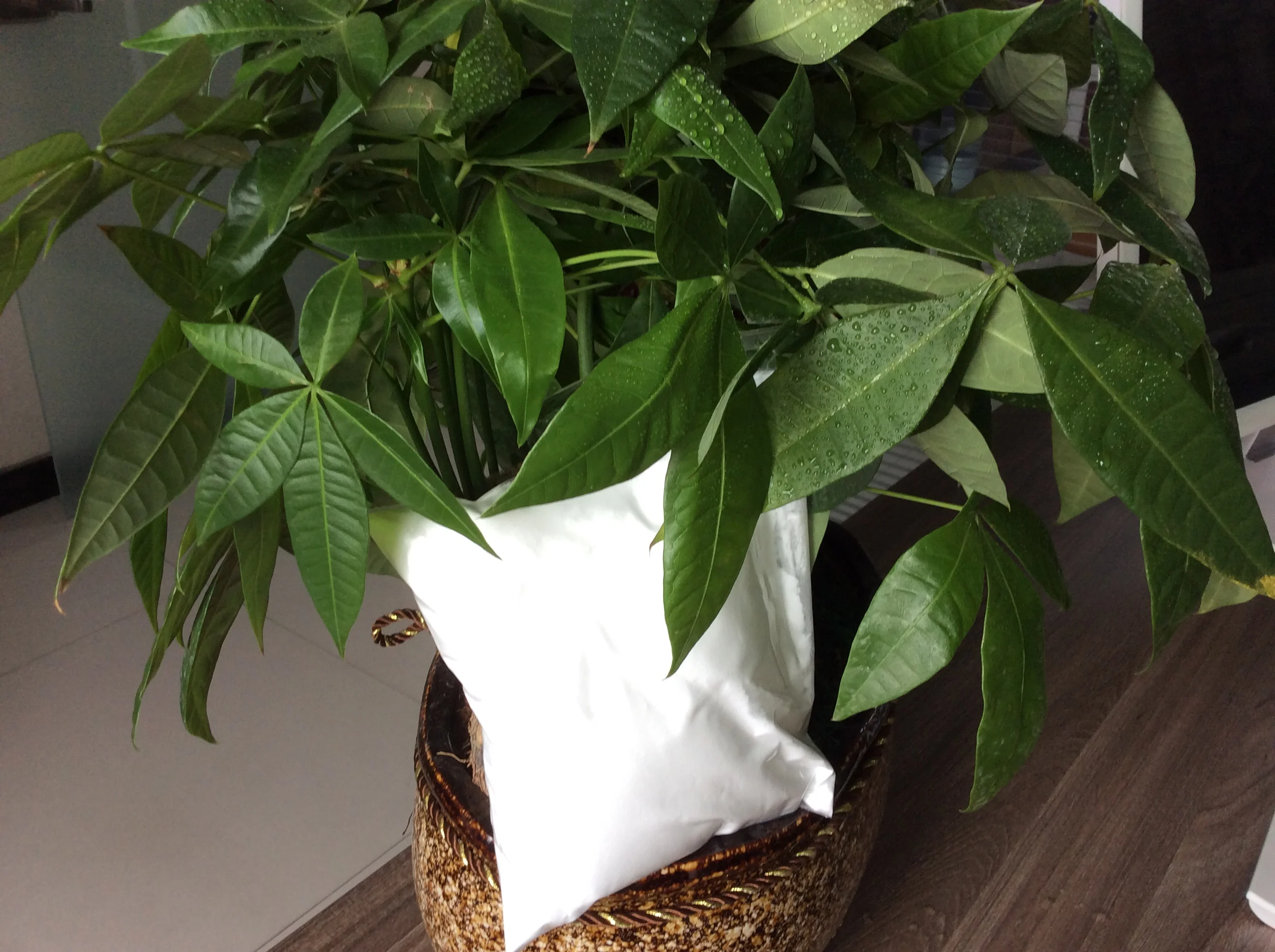 
Lowest price Chemotherapy drug Temozolomide 99% CAS 85622-93-1 / Temozolomide 