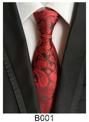 Custom Woven Silk necktie High Quality cheap neck tie  jacquard woven necktie novelty tie Fabric Woven Neck Ties for men set
