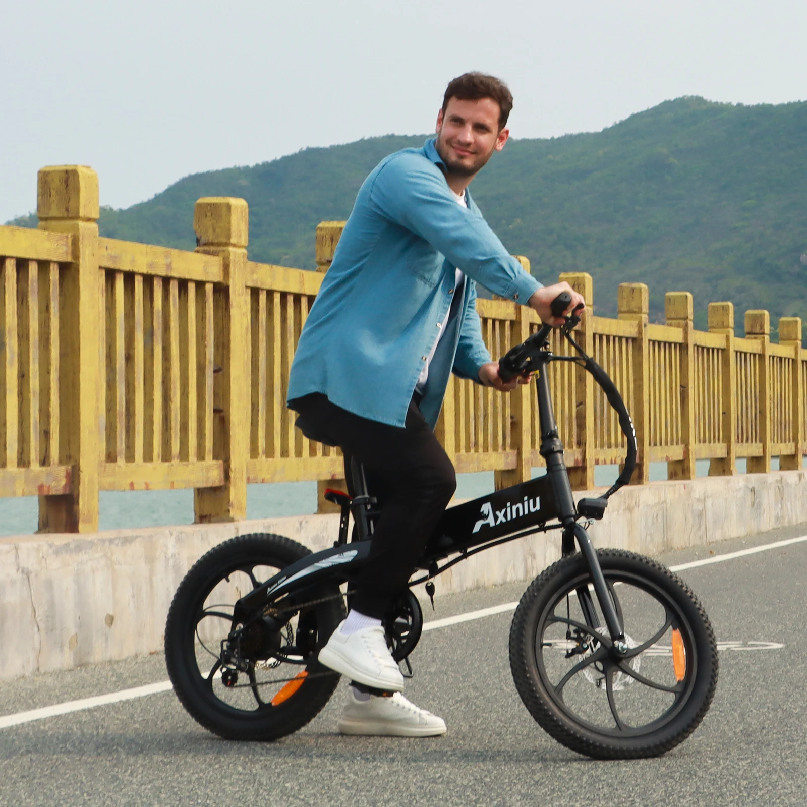 2024 Electric Folding Bike 20 Inch Alloy Aluminum Ebike Fold 350w 36v for Sale