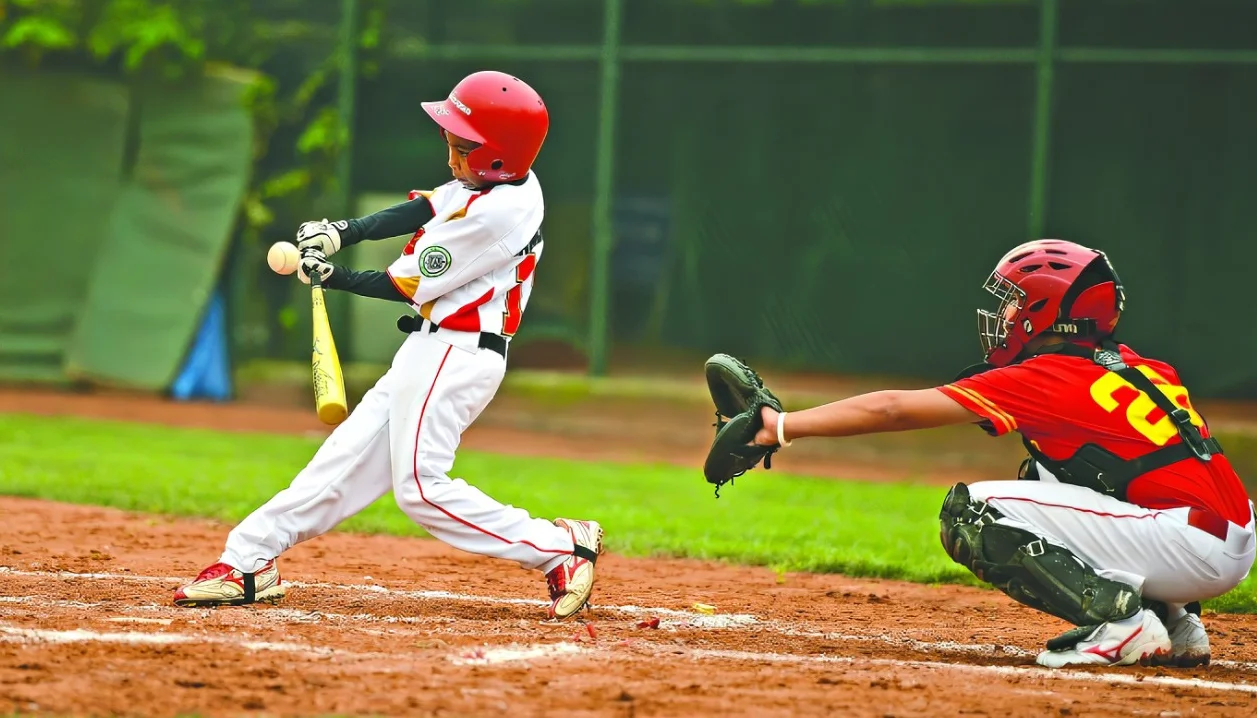 Wooden best sale cheap price high quality durable custom professional baseball bat