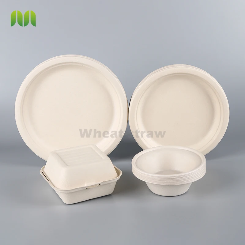 
6 7 8 9 10Inch 2 3 Compartment Amazon pack christmas compostable disposable pulp biodegradable sugarcane dishes plates tableware 
