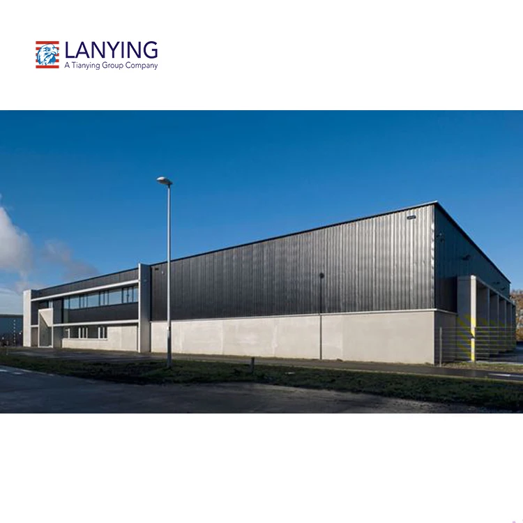 Industrial Layout Design Durable Prebuilt Metal Steel Iron Structure Building Workshop Warehouse Building