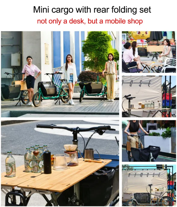 Family Adult Cargo Bike Electric Bicycle 2 Wheel Cargo Bike Alloy Frame 9 Speed E-cargo