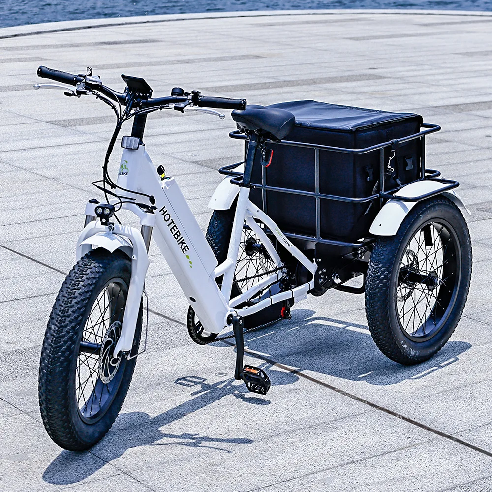 20 Inch Triciclo Electric Trike 750W Motor Fat Tire 3 Wheel E Bike Tricycle Three Wheels Adult Cargo Electric Bike With BasketPo