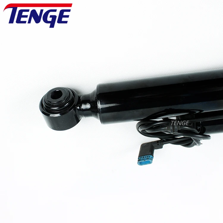 2213205613 Hot Sell Rear Right Air Suspension Strut Shock Absorber For Mercedes S Class W221 S320 S350