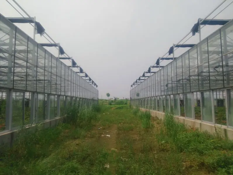 
Commercial glass greenhouse wit hydroponics and other equipments 