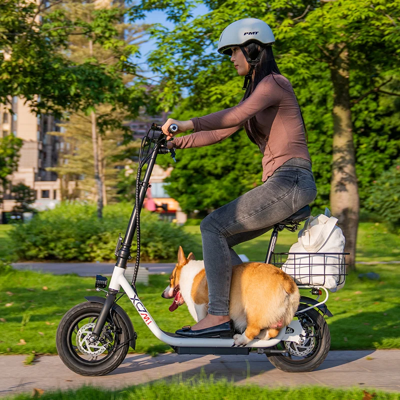 2024 Light Cheap 36V 48V 12inch 12Ah 3 Wheel Electric Scooter Removable Seat Basket Dual Suspension 48V Lithium Battery Mobility