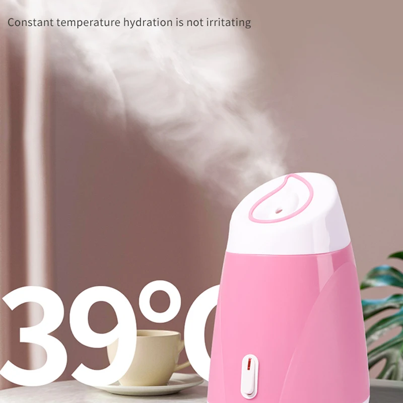 Hot Sale Popular Cusotom Label Mist Spray Face Spa Equipment Portable Ionic Facial Steamer Professional Dropshipping