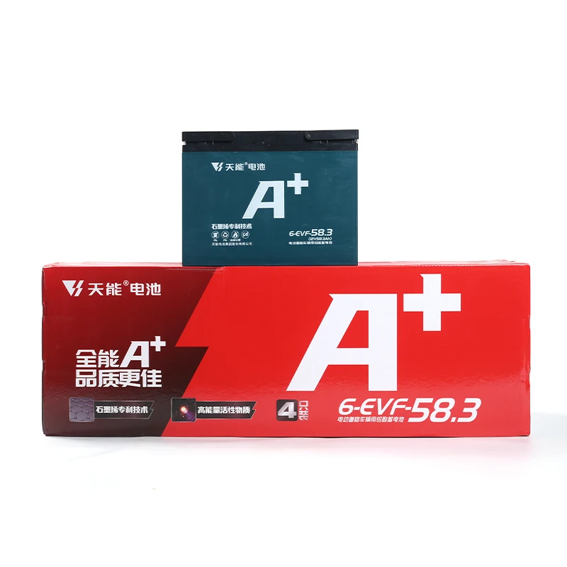 High Power 12v 36v 48v 58.3ah Electric Bicycle Battery E-bike Lead Acid Battery For Electric Vehicle