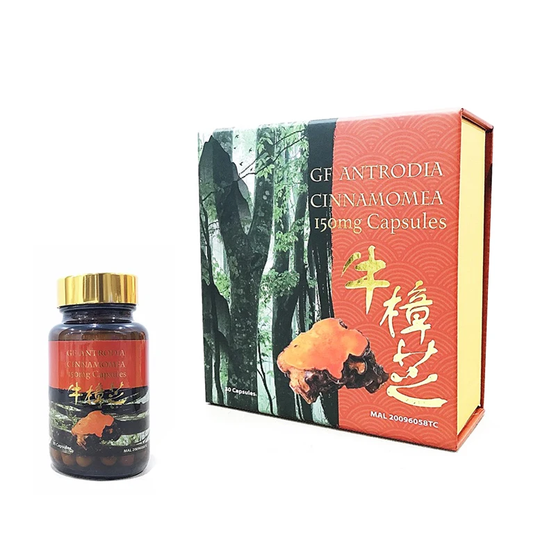 Premium High Quality GF Antrodia Cinnamomea Features With Combats Inflammation and Liver Function