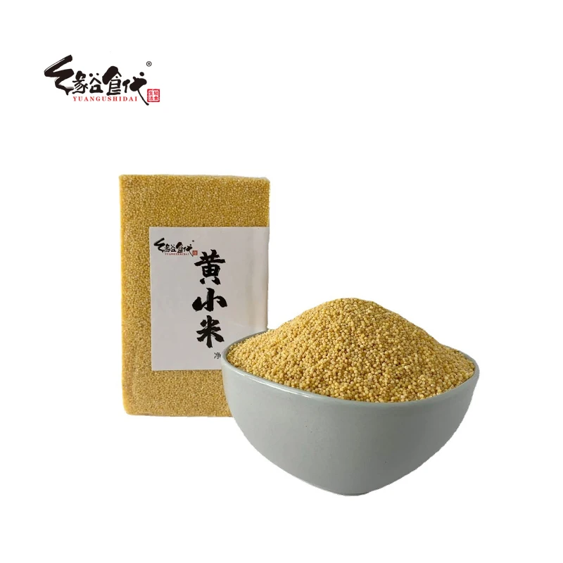 Golden  Low Price Wholesale New Crop bulk hulled yellow pearl millet on sale