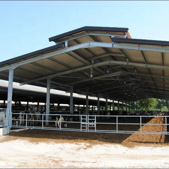 design building steel structure cow house cattle shed farm