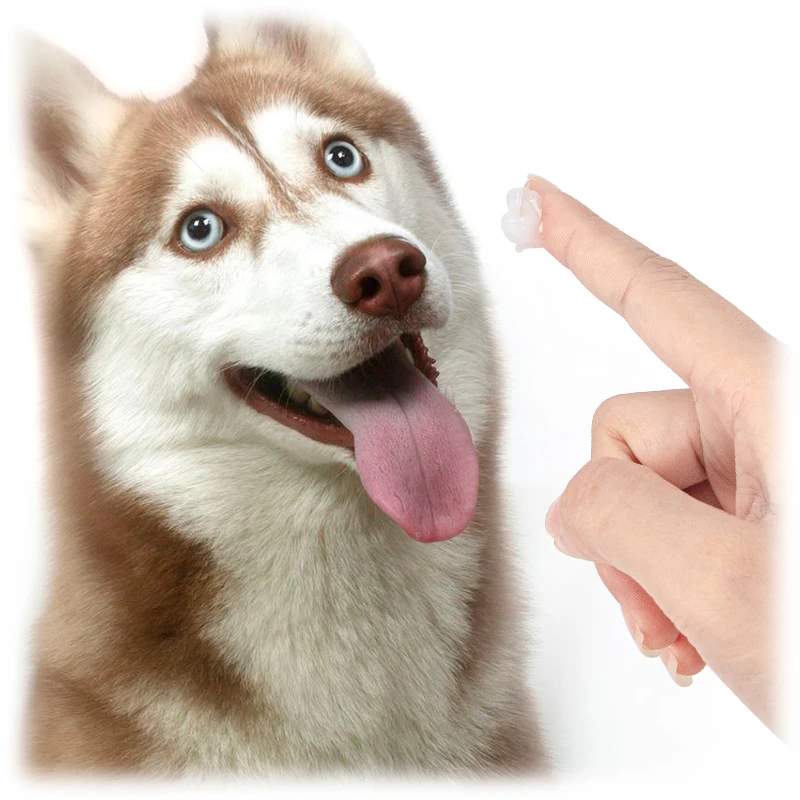 High Quality Private Label Pet Paw Nose Care Cream Natural Dog Cat Outdoor Cracked Best Choose Paw Balm